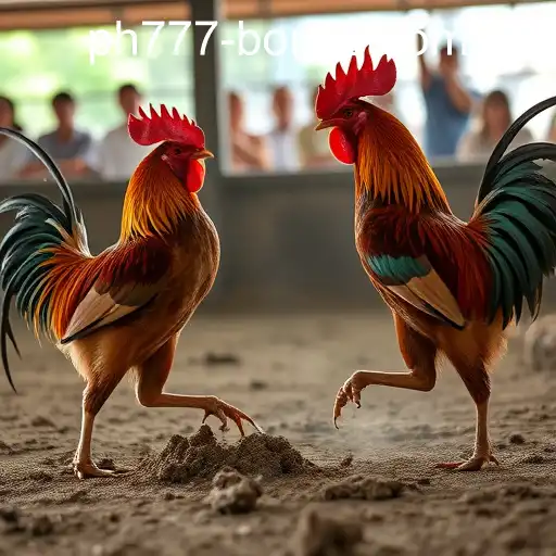 Immersing in Sabong: The ph777 Registration Bonus Advantage